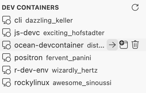 Remote Explorer view showing a list of running dev containers with action buttons