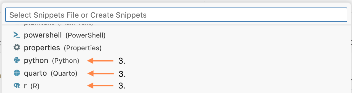 Menu with options for creating a new snippet file for Python, Quarto, or R